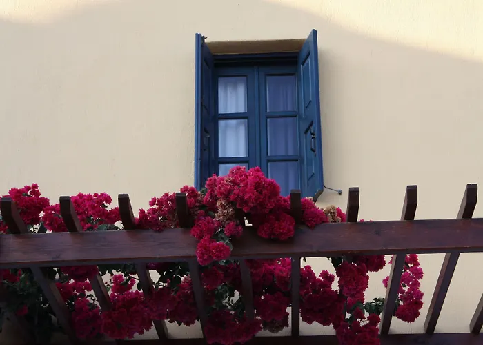 卡里玛拉酒店 酒店 3*